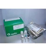 大鼠MCP-1(MCAF)ELISA试剂盒生产商