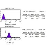 CD28单克隆抗体（CIK细胞培养；T细胞扩增激活）