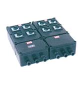 河北省衡水市防爆防腐配电箱