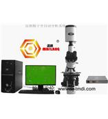 哪有卖动物精子分析仪