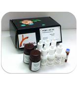 Alper Biotech GMF-β MoAb R&D Kit