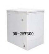 -25℃低温保存箱DW-25W147