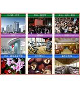 二氧化碳检测仪报警器报警仪检测仪检测器