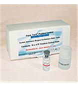 Clean-Trace 阳性对照