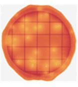 3M大肠菌群测试片(快速型)