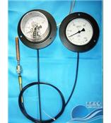 WTZ-280C.288C系列压力式指示温度计