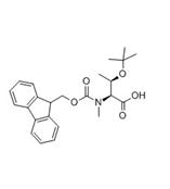Fmoc-N-Me-Thr(tBu)-OH 117106-20-4