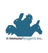 ImmunoReagents開發親和純化二抗