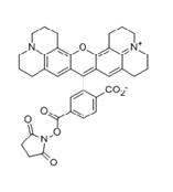 6-ROX,Se;ROX NHS ester, pure 6- isomer