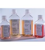 琼脂糖, 培养基, 内毒素检测试剂（现货促销）