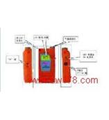 呼出酒精检测仪 酒精测试仪