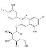 矢车菊素3-O-葡萄糖苷标准品中药对照品