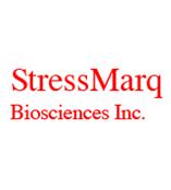 StressMarq 抗体