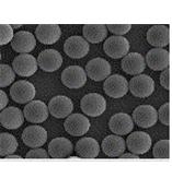 聚合物反相色谱填料