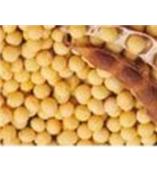 厂家供应大豆苷元