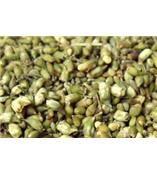 厂家供应槲皮素