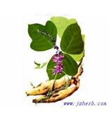 厂家供应葛根素