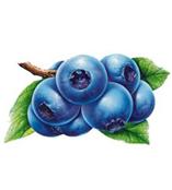 厂家供应花青素