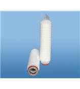 聚四氟乙烯折叠滤芯（PTFE）