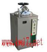 电加热立式蒸汽灭菌器 手轮型 电加热立式蒸汽灭菌器 蒸汽灭菌器