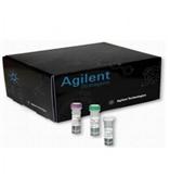 Agilent/Stratagene/安捷伦 210518， 单点突变试剂盒,QuikChange Lightning Mutagenesis Kit