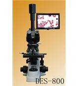 DES-800长沙新视窗带屏生物（研究型）显微镜
