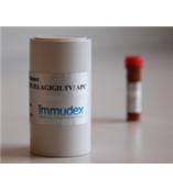 供应MHC表位肽多聚体  － 丹麦Immudex MHC Dextramer 中国代理商