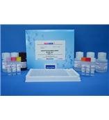 美國Abraxis麻痹性貝類毒素(PSP)檢測試劑盒