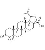 路路通酸,白桦脂酮酸 Liquidambaric acid 4481-62-3 标准品 对照品