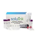 美國solulink公司Antibody-Oligonucleotide All-in-One Conjugation Kit 寡核苷酸抗體標記試劑盒