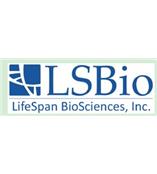 西美杰代理lifeSpan抗体年底狂欢特惠---8折再享礼！
