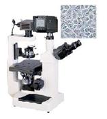 供应SLS13-XDS-200D数码型倒置显微镜