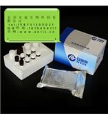 黄曲霉b1检测试剂盒|黄曲霉M1检测试剂盒