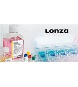 内皮细胞生长培养基(EGM)