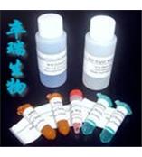 頭包類藥物（三合一）檢測試劑盒 A141
