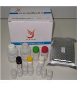 链霉素（Streptomycin）酶联免疫检测试剂盒