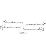 4arm-PEG-Succinimidyl Glutarate，四臂-聚乙二醇-琥珀酰亚胺戊二酸酯，4arm-PEG-SG