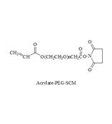 丙烯酸-聚乙二醇-琥珀酰亚胺乙酸酯，Acrylate-PEG-SCM，丙烯酸琥珀酰亚胺乙酸修饰性聚乙二醇