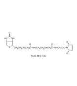 Biotin-PEG-MAL,生物素-聚乙二醇-马来酰亚胺，Biotin-PEG-Maleimide，生物素马来酰亚胺修饰聚乙二醇