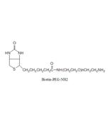BIOTIN-PEG-NH2，生物素-聚乙二醇-氨基，Biotin-PEG-Amine，氨基生物素饰性聚乙二醇，氨基生物素修饰性PEG