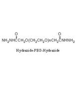 Hydrazide-PEG-Hydrazide ，肼基-聚乙二醇-肼基，HZ-PEG-HZ