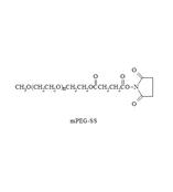 mPEG-Succinimidyl Succinate ，甲氧基聚乙二醇-琥珀酰亚胺琥珀酸酯