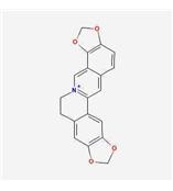 盐酸黄连碱 CAS: 10605-02-4   黄连 盐酸药根碱 盐酸小檗碱 盐酸巴马汀 对照品