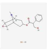 氢溴酸东莨菪碱  CAS: 114-49-8  莨菪 东莨菪苷 东莨菪内酯  莨菪亭 对照品