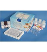 呕吐毒素试剂盒（条）