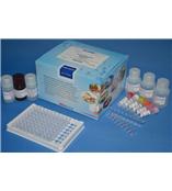 黄曲霉B1检测试剂盒