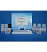 磺胺二甲基嘧啶试剂盒