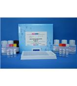 莱克多巴胺试剂盒