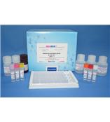 呋喃唑酮试剂盒