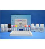 孔雀石绿检测试剂盒